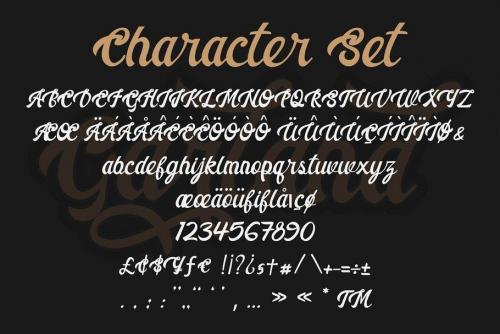 Garland Script Font 10