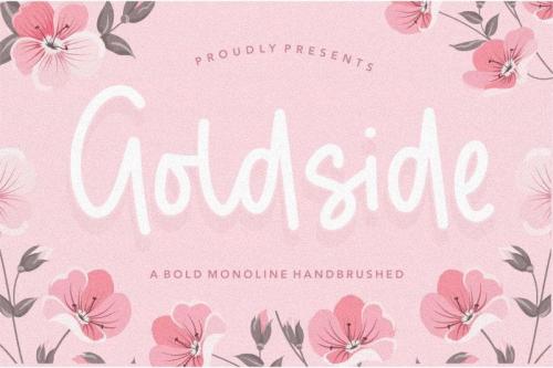 Goldside Bold Monoline Handbrushed Font 0