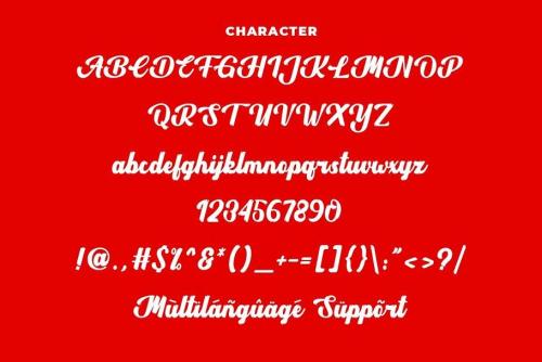 Headbrush Script Font 8