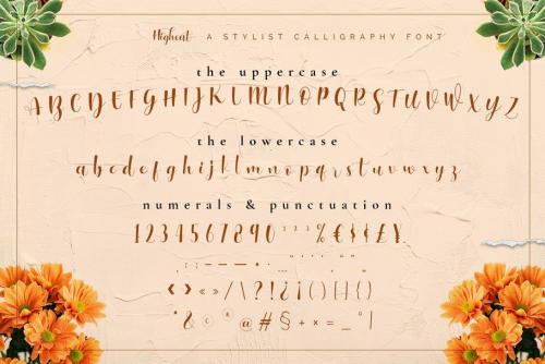Higheat Stylish Calligraphy Font 10