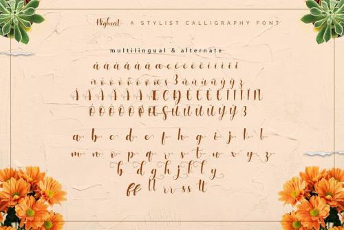 Higheat Stylish Calligraphy Font 9