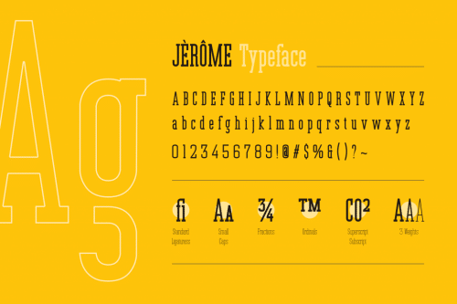 Jerome Slab Serif Font 15
