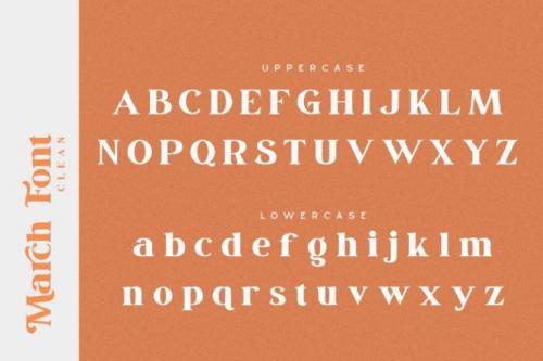 March Serif Font 14