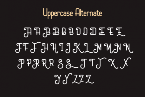 Marko Vintage Display Typeface 4