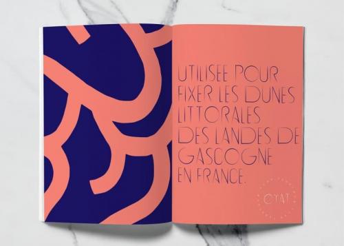 Oyat Display Font 3