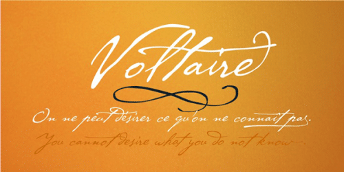 P22 Cezanne Pro Font 14 (1)