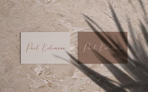 Pantole Script Font 7