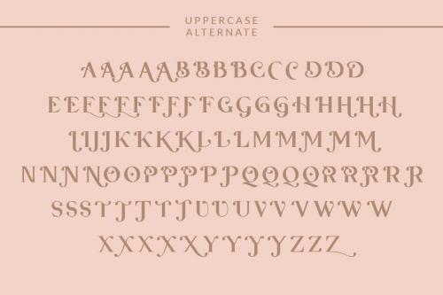 Qaligo Serif Font 15