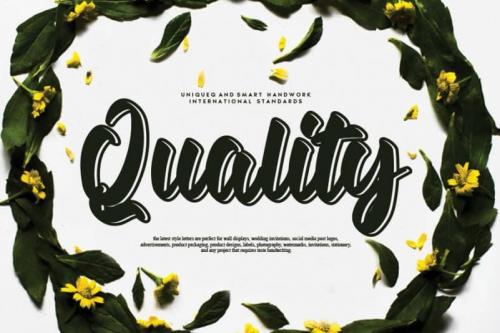 Quality Script Font