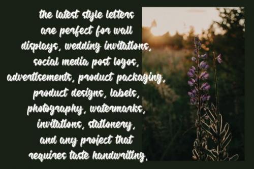 Quality Script Font 2