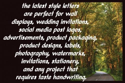 Queenlike Script Font 2