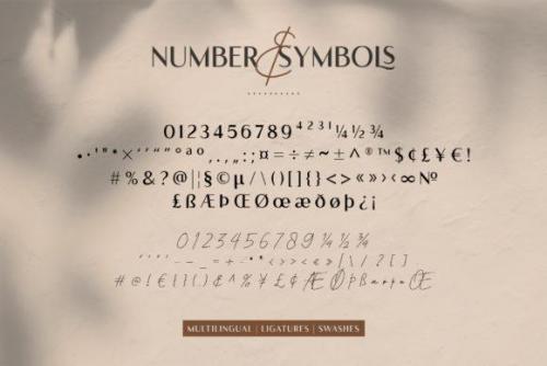 Romelio Sans Serif Font 13