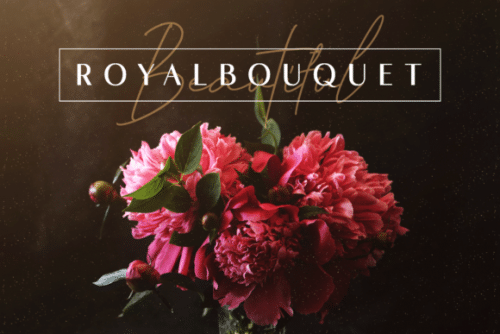 Romelio Sans Serif Font 5