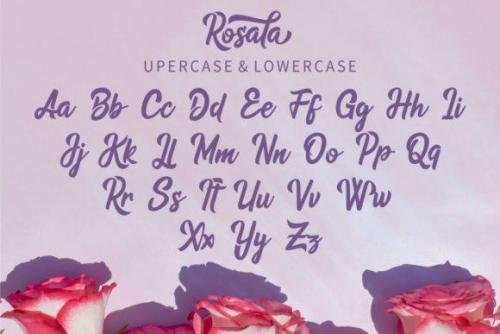 Rosala Script Font 2