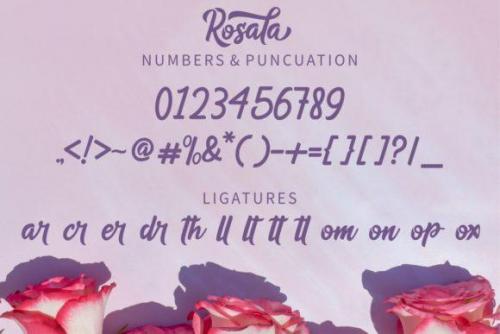 Rosala Script Font 3