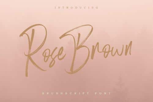 Rose Brown Brush Font