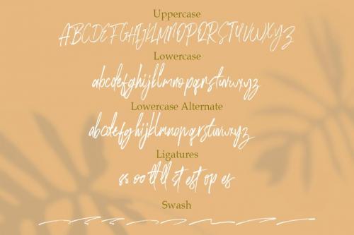 Rose Brown Brush Font 13