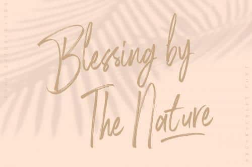 Rose Brown Brush Font 8