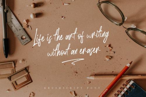 Rose Brown Brush Font 9