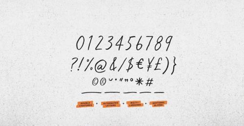 Run Wild Font 12