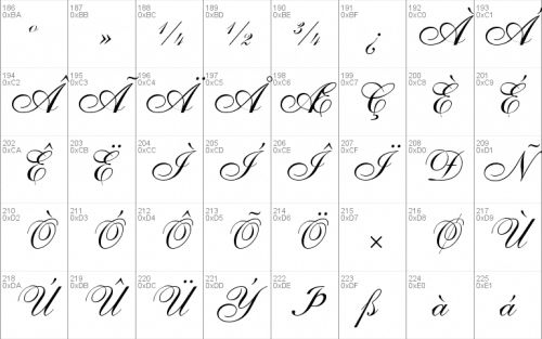 Shelley Allegro Script Font 3