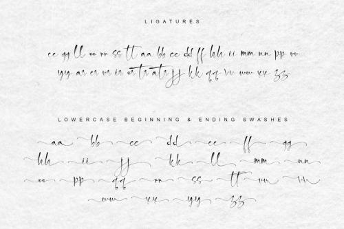Snowland Natural Handwritten Script Font 10