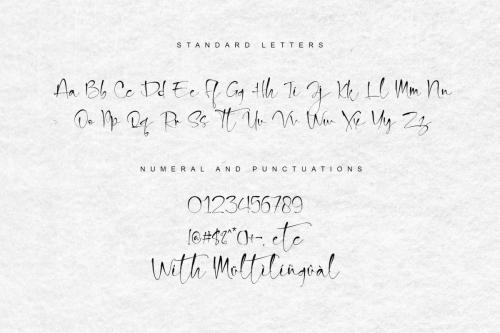 Snowland Natural Handwritten Script Font 11