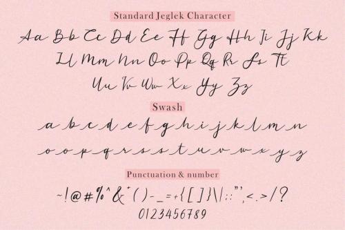 Standard Jeglek Script Font 9