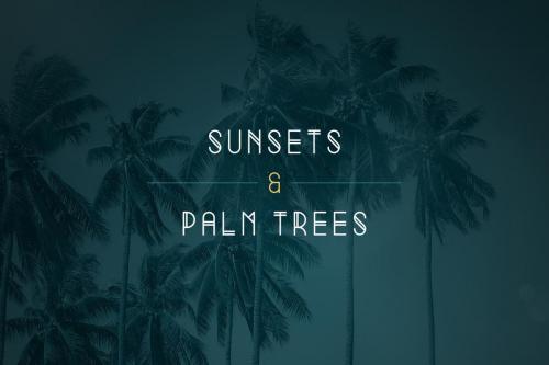 Summer Display Font Family 4
