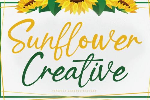 Sunflower Creative Script Font