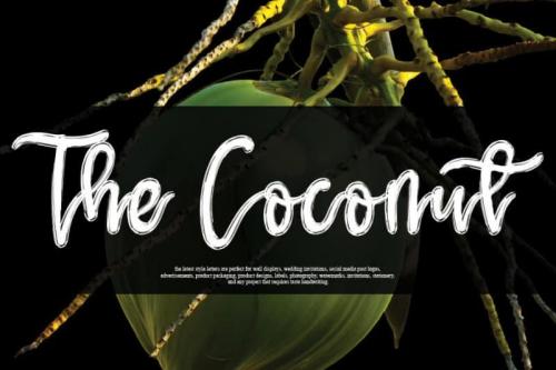The Coconut Script Font