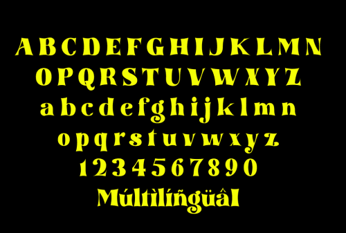 Tommy – Retro Serif Font  6