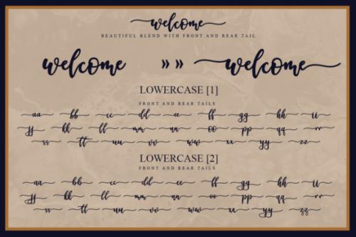 Welcome Font 14