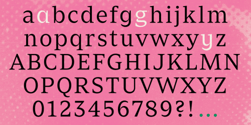 Zin Serif Font 5