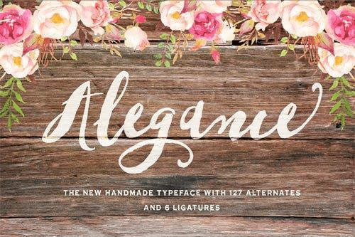 Alegance-Typeface--0