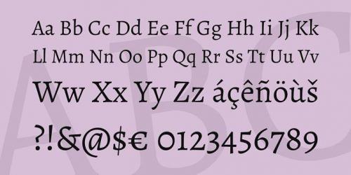 Alegreya Serif Font Family  1