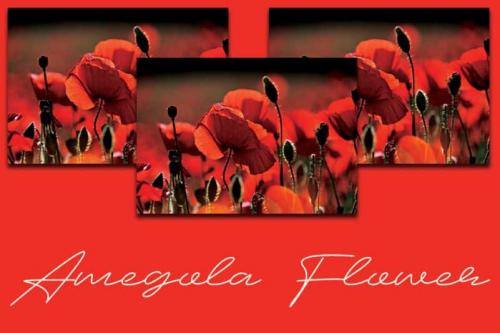 Amegola Flower Handwritten Font 2