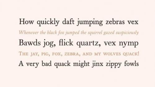 Austin Serif Font Family 1