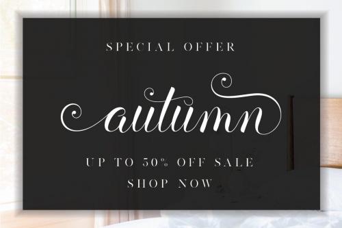 Balerina Script Font 1