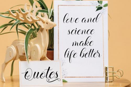 Balerina Script Font 10
