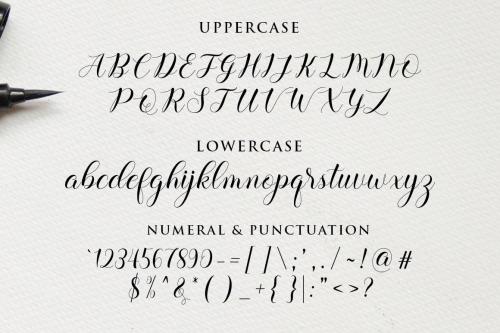 Balerina Script Font 12