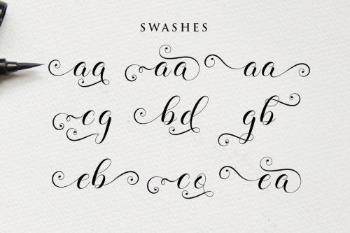 Balerina Script Font 13