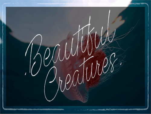 Beautiful-Creatures-Font--0