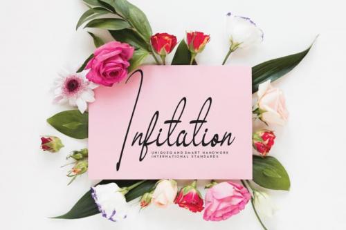 Birdlove Script Font 1