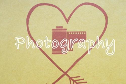 Birdlove Script Font 4