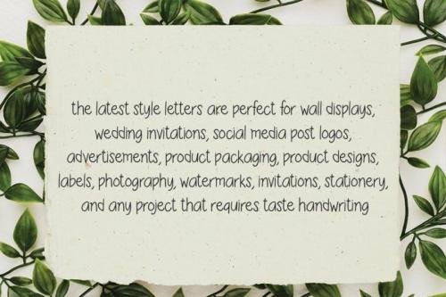 Bolleanita Handwritten Font  2