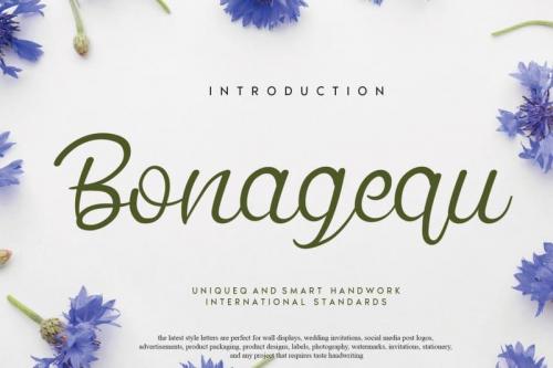 Bonagequ Script Font