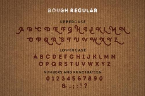 Bough – Vintage Hand Drawn Typeface  2