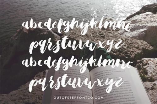 Bristle Brush Script Font 1
