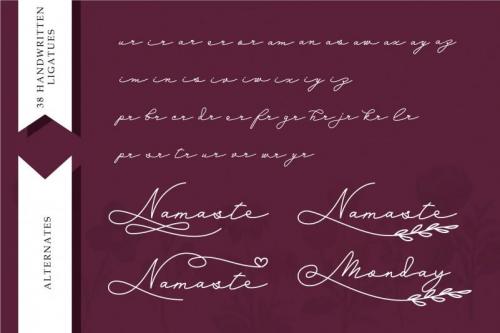 Budapest Girl Handwritten Font  2